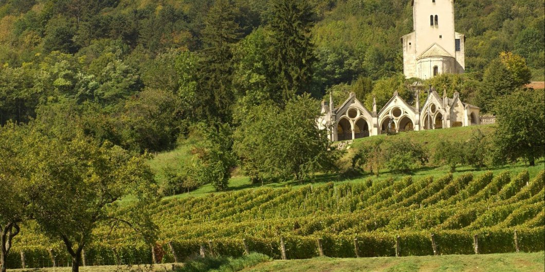 Transmission des exploitations agricoles