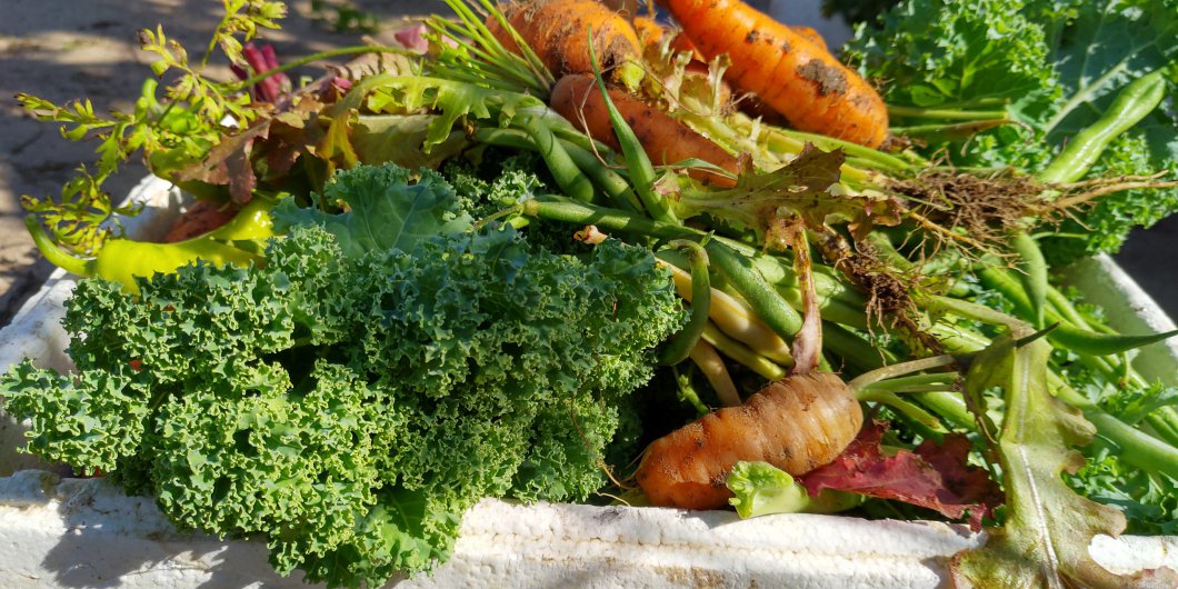 Des recettes pour les légumes du jardin