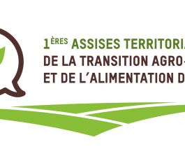 VIDEO - Se nourrir lorsqu'on est pauvre