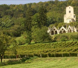 Transmission des exploitations agricoles