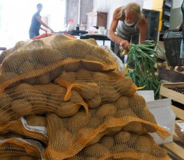 Stéphanie MANSUY - Est Républicain