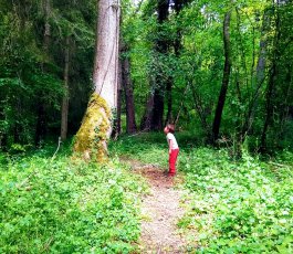 [Conférence] La nature et un environnement sain, c'est bon pour ma santé !