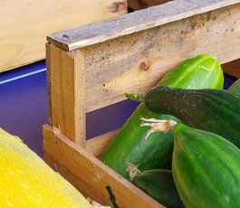 De la soupe pour la Dignité dans les Assiettes