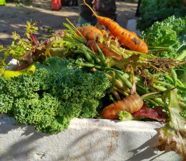 Des recettes pour les légumes du jardin