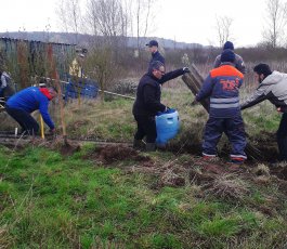 JARDINS PARTAGES à Neuves-Maisons