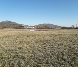 Développons des parcs solaires au sol participatif sur Terres de Lorraine !