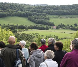 Du souffle de la nature à la plume à la colline de Sion
